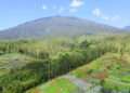 Gunung gede menjadi salah satu yang di tutup sementara september ini