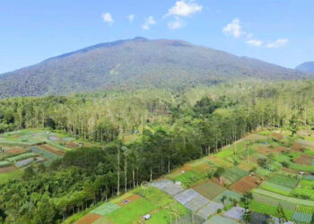 Gunung gede menjadi salah satu yang di tutup sementara september ini