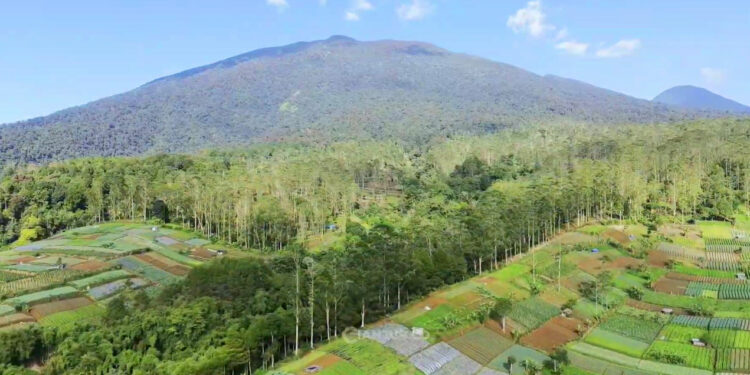 Gunung gede menjadi salah satu yang di tutup sementara september ini