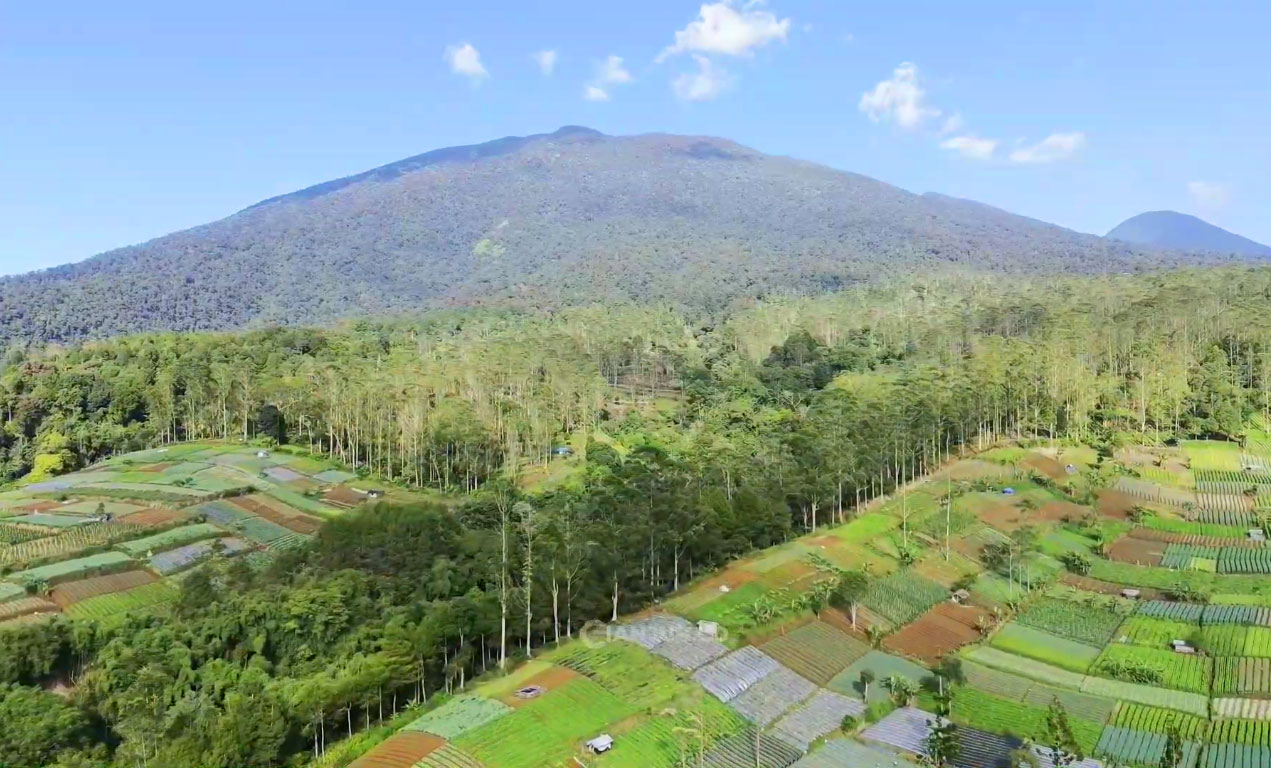 13 Gunung di Jawa Barat Ditutup, Gede Pangrango Salah Satunya!