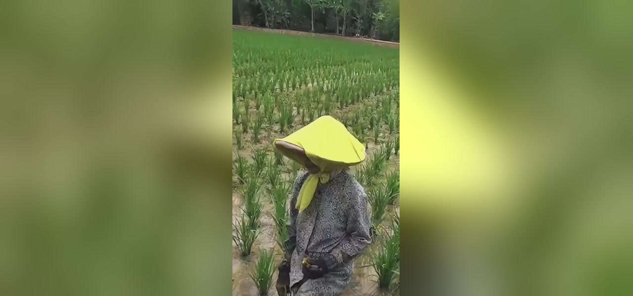 Dedi Mulyadi Soroti Sikap Rajin yang Dinilai Kian Langka - gambar 5