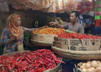Cabai Merah Tanjung di Cianjur Tembus Rp80 Ribu per Kilogram
