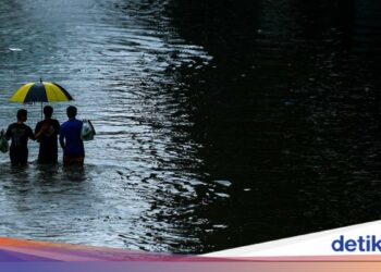 Banjir Thailand Picu Ancaman Ular dan Buaya di Permukiman