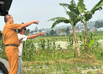 Dispertan Garut Siapkan 2.500 Kilogram Benih Padi untuk 100 Hektare Sawah