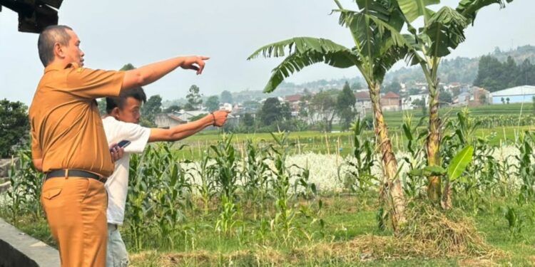 Dispertan Garut Siapkan 2.500 Kilogram Benih Padi untuk 100 Hektare Sawah