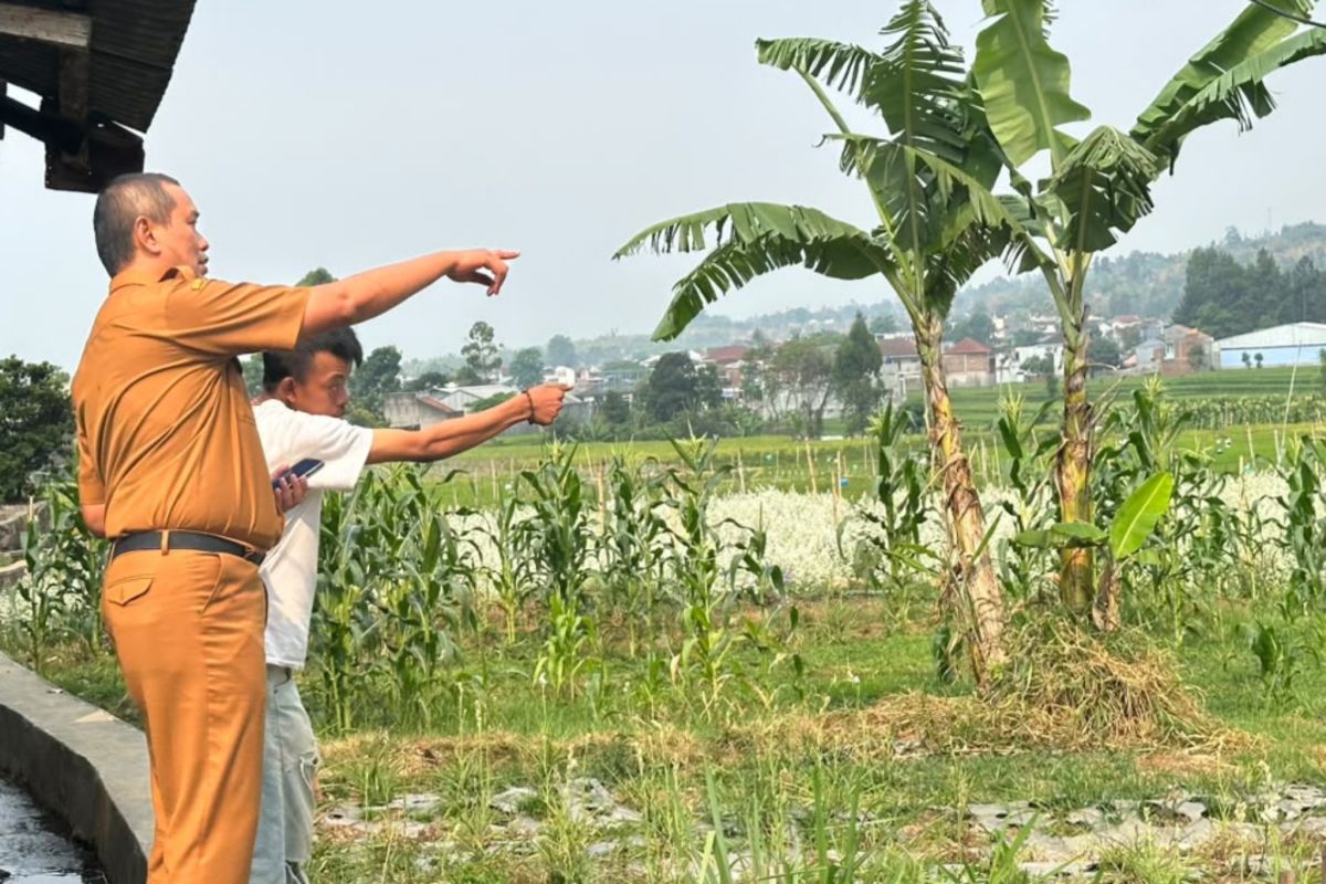 Dispertan Garut Siapkan 2.500 Kilogram Benih Padi untuk 100 Hektare Sawah