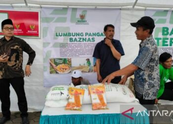 Baznas Sumedang Dampingi 50 Petani Kelola 50 Hektare Jagung