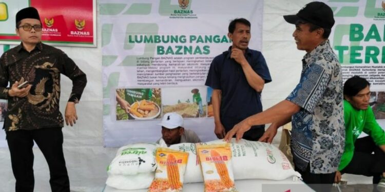 Baznas Sumedang Dampingi 50 Petani Kelola 50 Hektare Jagung