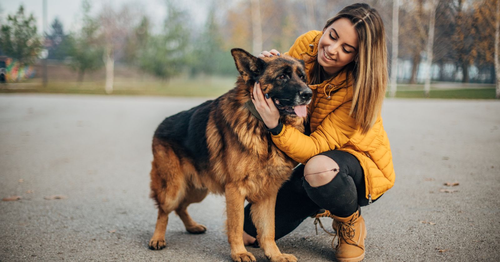 Delapan Kebiasaan Pemilik Anjing yang Bisa Menggambarkan Sikap Mereka