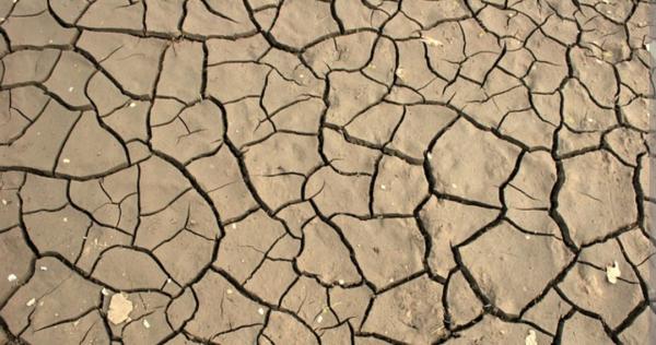 Kekeringan di Takokak Cianjur, 500 Hektare Sawah Terdampak