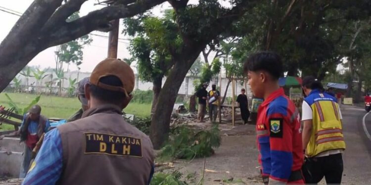 DLH Cianjur Tingkatkan Pemangkasan Pohon Rawan Tumbang