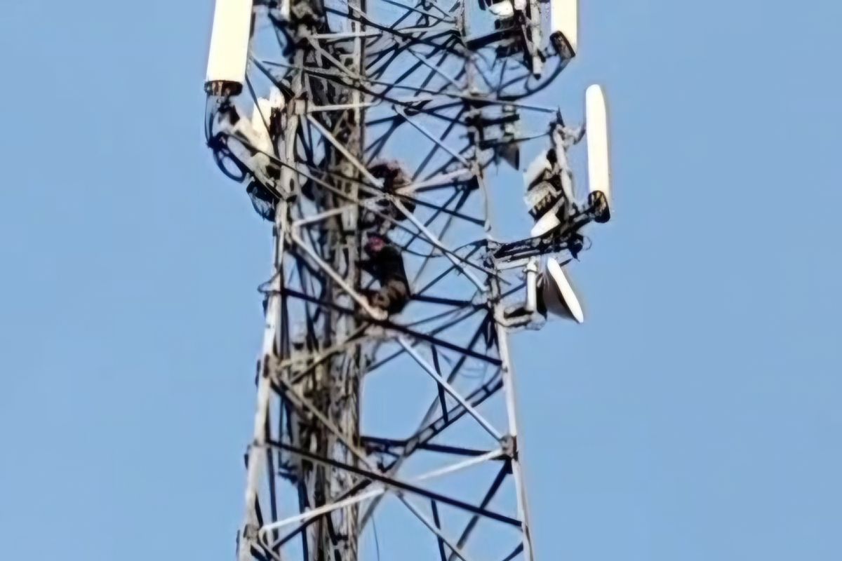 Dua Terduga Pencuri Kabel Menara Seluler di Cicalengka Ditangkap