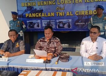 Lanal Cirebon Ungkap Pengiriman 75.435 Benih Lobster di Tol Cipali